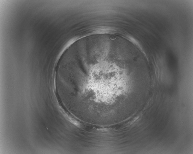 X0000062131227200512121207