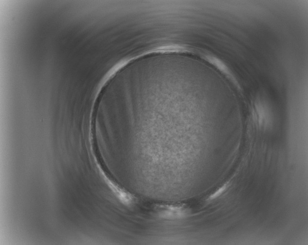 X0000062131229200512121207