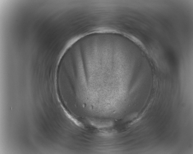 X0000062131231200512121207