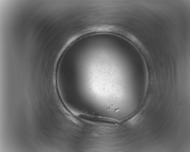 X0000062131232200512121207