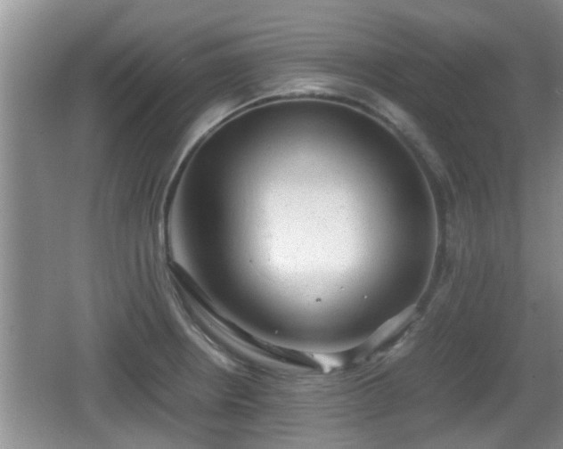 X0000062131234200512121207