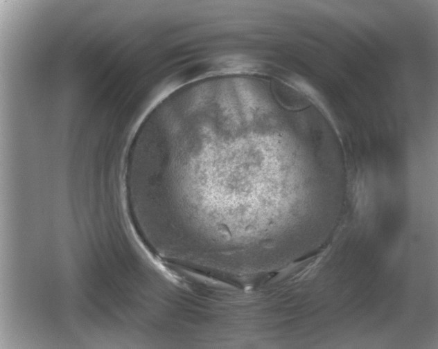 X0000062131235200512121207