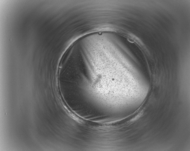 X0000062131236200512121207