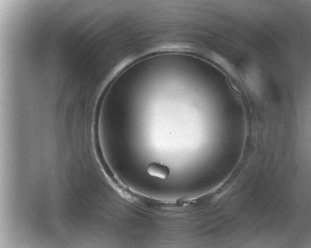 X0000062131237200512121207