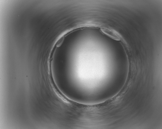 X0000062131238200512121207