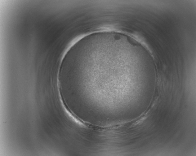 X0000062131239200512121207