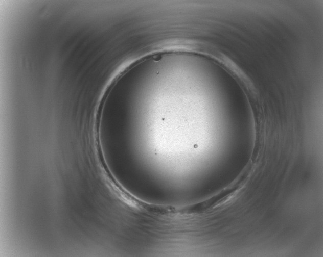 X0000062131240200512121207