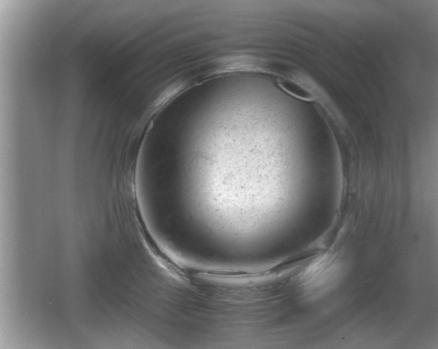 X0000062131241200512121207