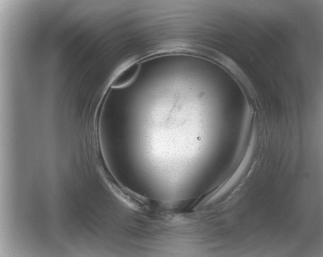 X0000062131242200512121207