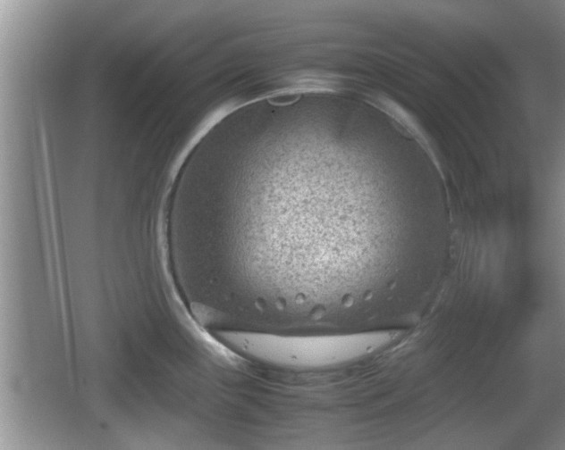 X0000062131243200512121207