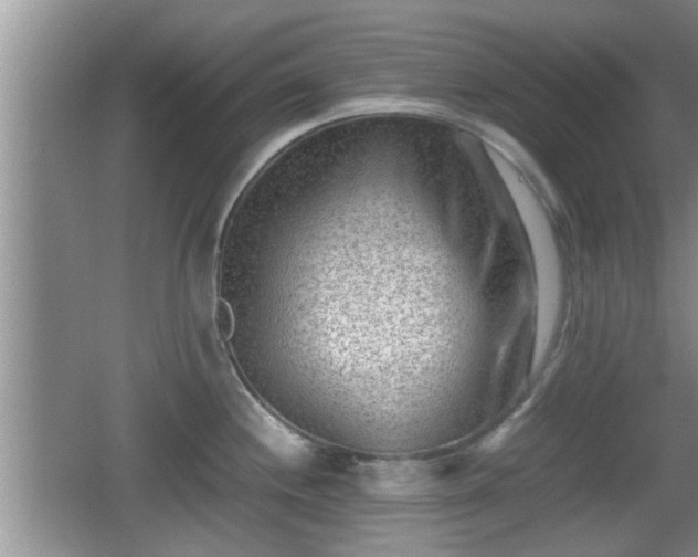 X0000062131244200512121207