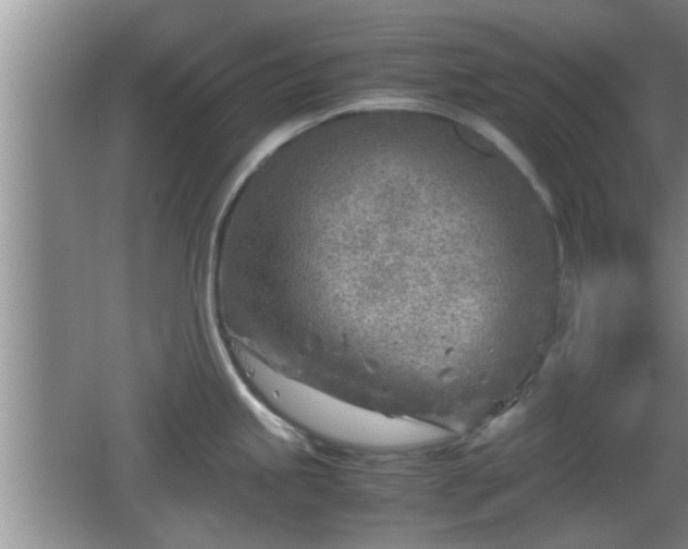 X0000062131245200512121207