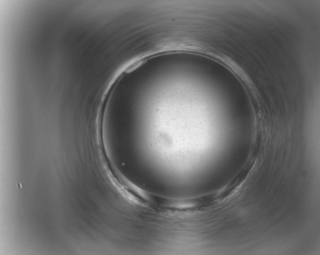 X0000062131246200512121207