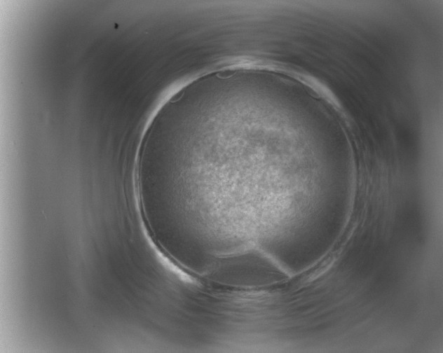 X0000062131247200512121207