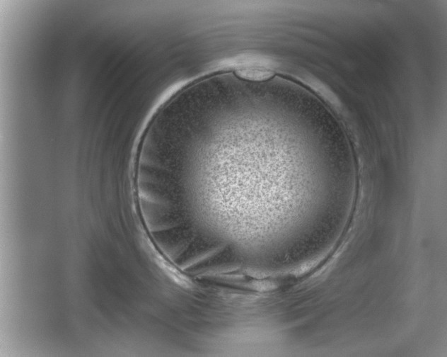 X0000062131248200512121207