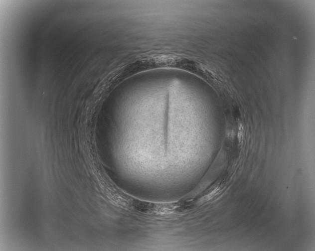 X0000062131249200512121206