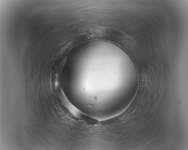 X0000062131250200512121206