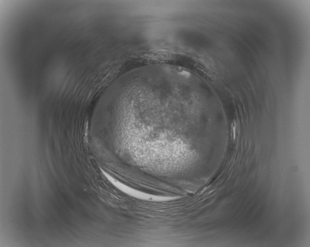 X0000062131251200512121206