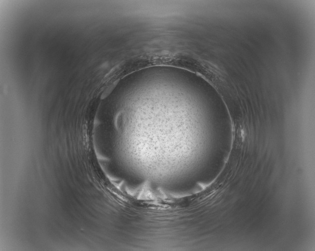 X0000062131252200512121206