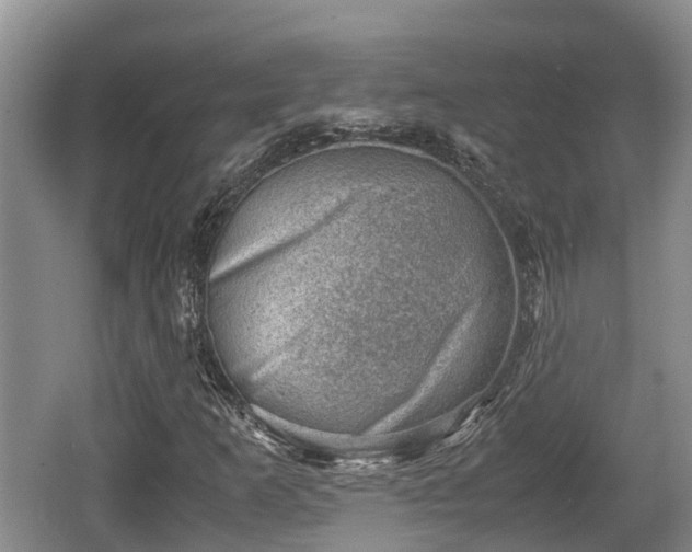 X0000062131253200512121206