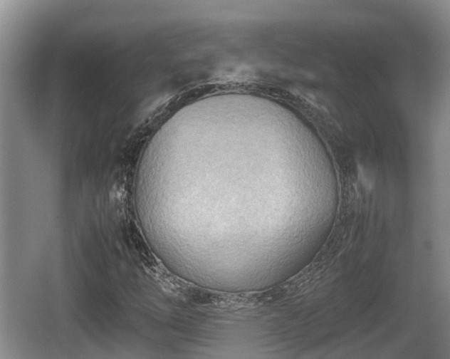 X0000062131254200512121206