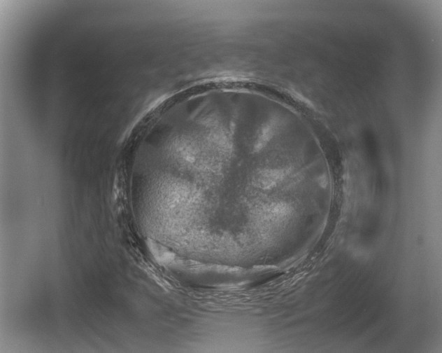 X0000062131255200512121206