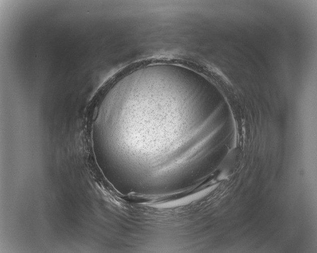 X0000062131256200512121206