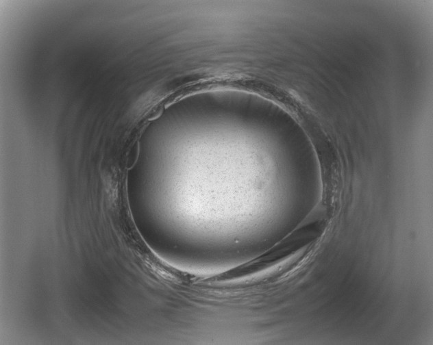 X0000062131257200512121206