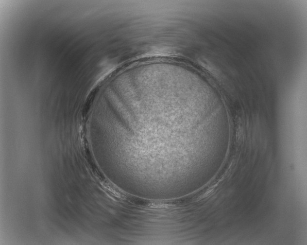 X0000062131258200512121206