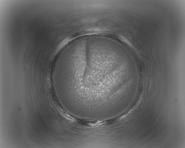 X0000062131259200512121206