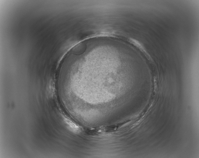 X0000062131260200512121206