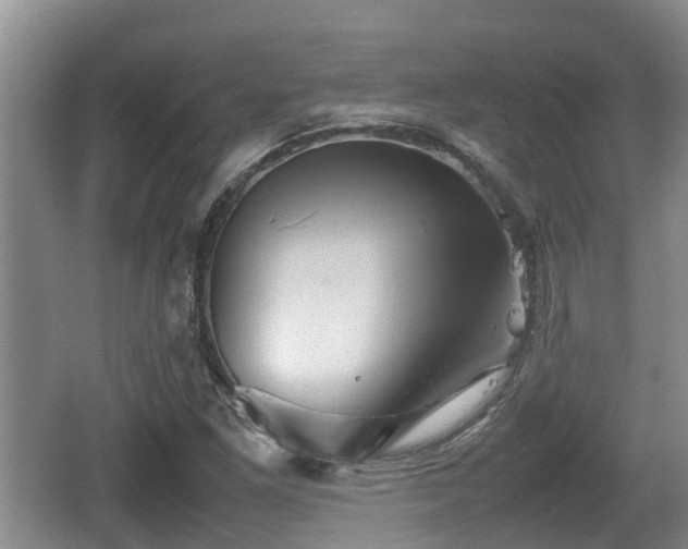 X0000062131261200512121206