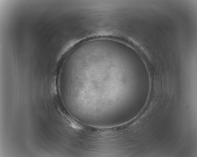 X0000062131262200512121206