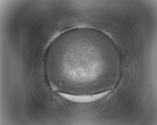 X0000062131263200512121206