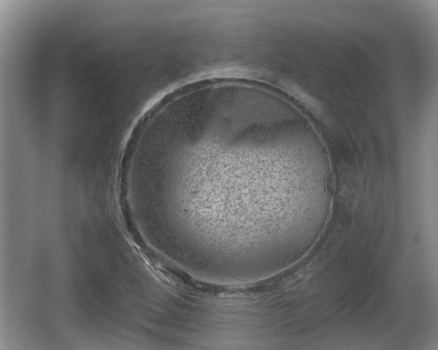 X0000062131264200512121206