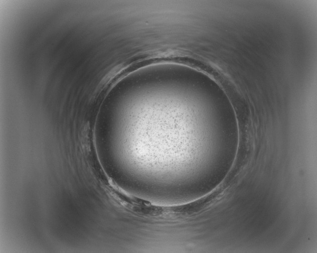 X0000062131265200512121206