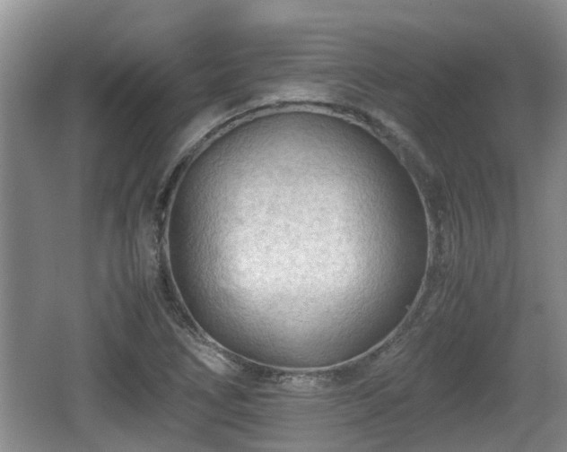 X0000062131266200512121206