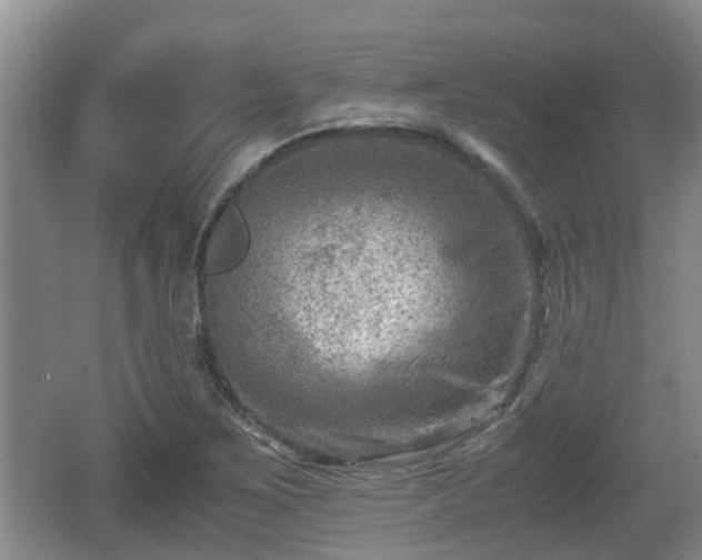 X0000062131267200512121206