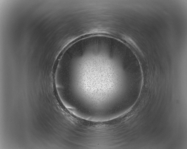 X0000062131268200512121206