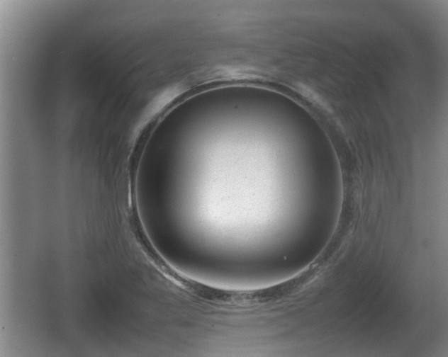 X0000062131269200512121206