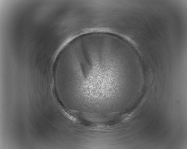 X0000062131271200512121206