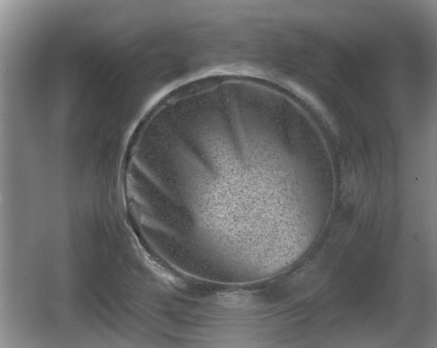 X0000062131272200512121206