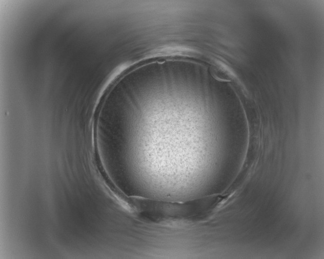 X0000062131275200512121206