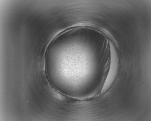 X0000062131276200512121206