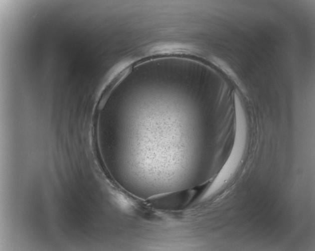 X0000062131277200512121206