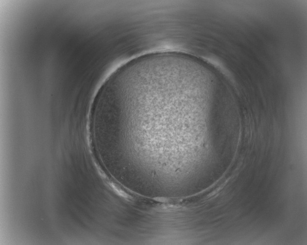 X0000062131278200512121206