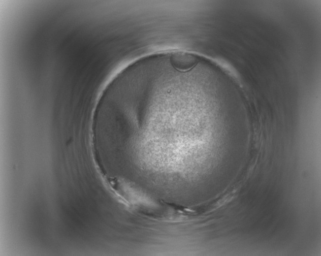 X0000062131279200512121206