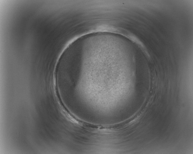 X0000062131280200512121206