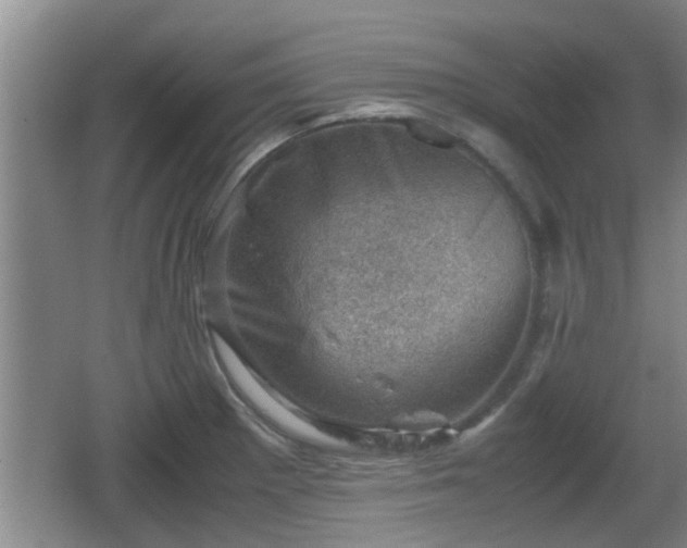 X0000062131281200512121206