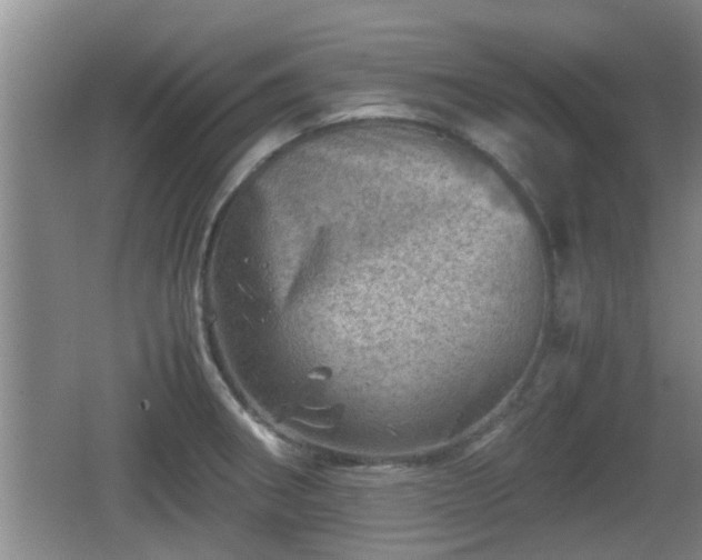 X0000062131282200512121206